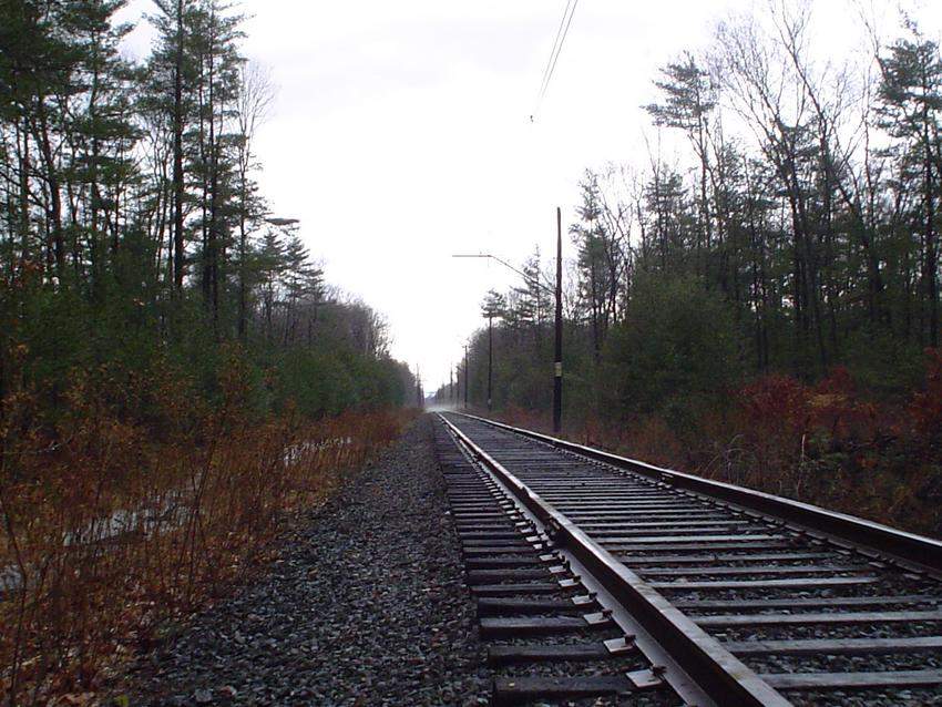 Photo of Connecticut Trolley Museum Main Line on a Gloomy day