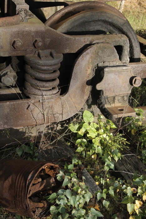 Photo of An old rusty truck constrasts with sone new green growth