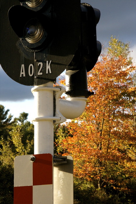 Photo of Signal A02K stands at attention at McKay Crossing in the fall