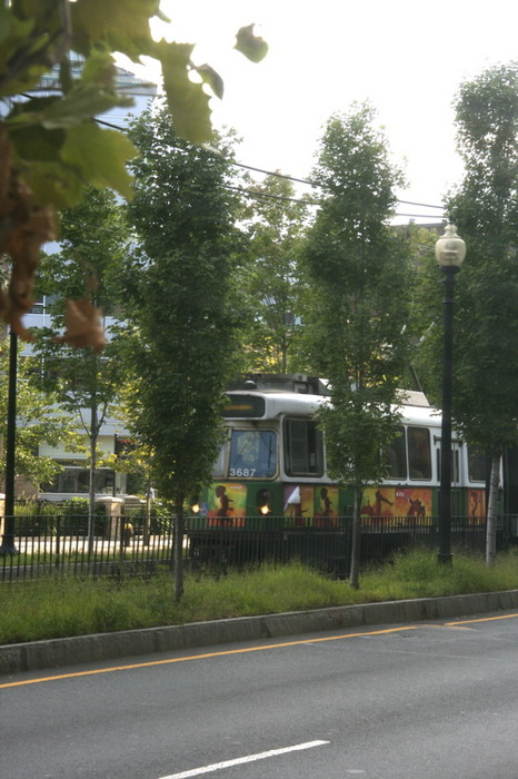 Photo of When the grass was green. . . .An MBTA Green Line trolley tries to hide. . . .