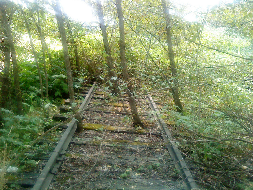 Photo of More Trolley Traces