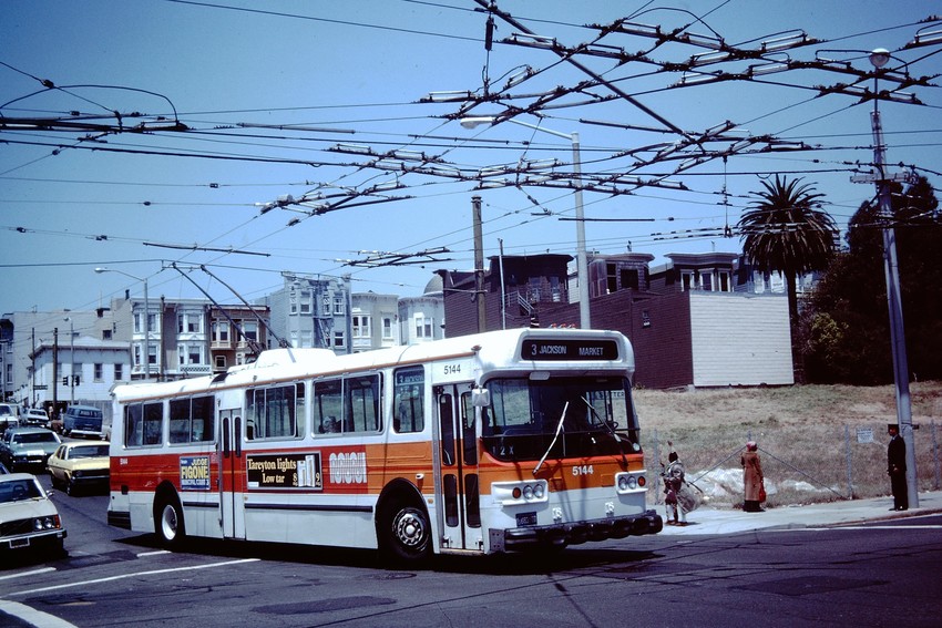 Photo of Flyer E800 trolley coach